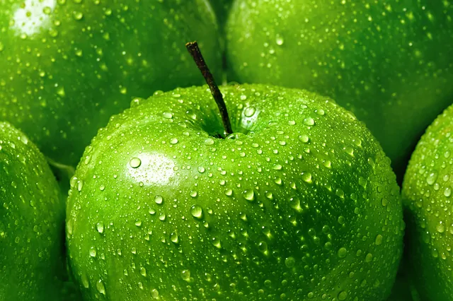 Äpfel – Bild 6 von 20