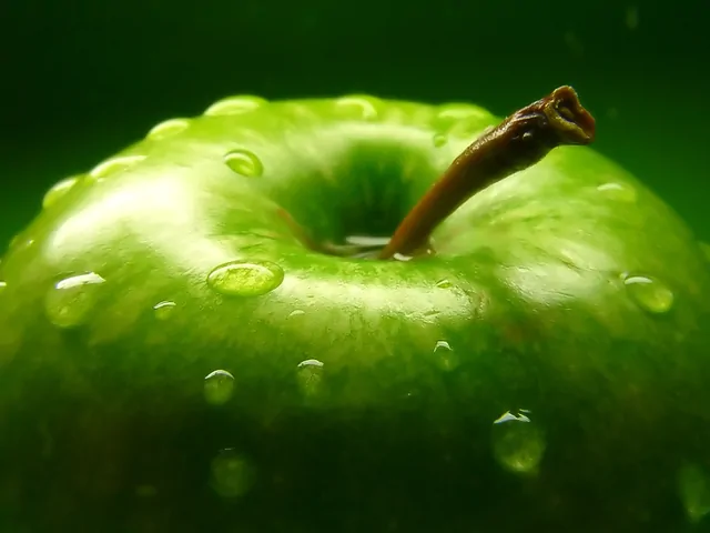 Äpfel – Bild 8 von 20