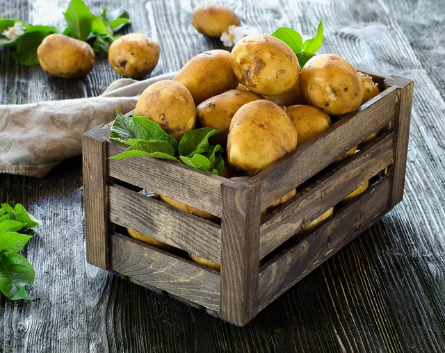 Kartoffeln – Bild 2 von 15