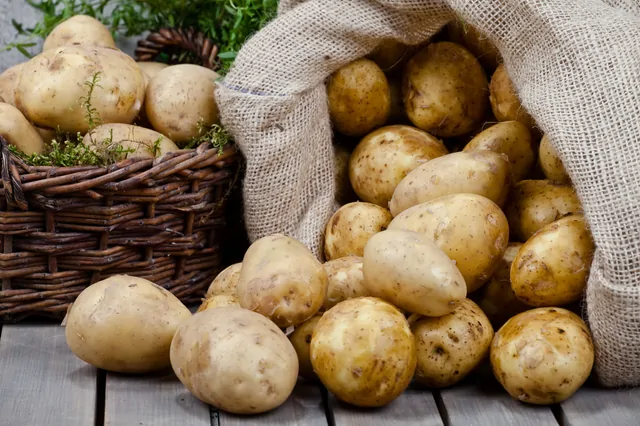 Kartoffeln – Bild 14 von 15