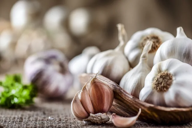 Knoblauch – Bild 6 von 16