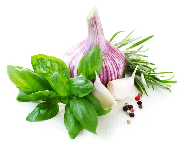 Knoblauch – Bild 7 von 16