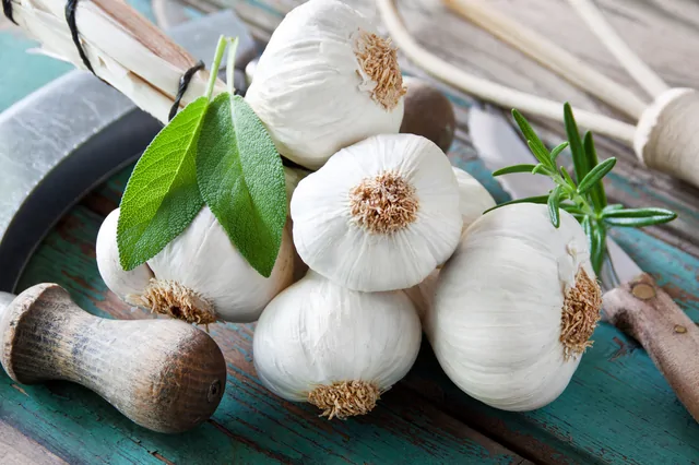 Knoblauch – Bild 8 von 16