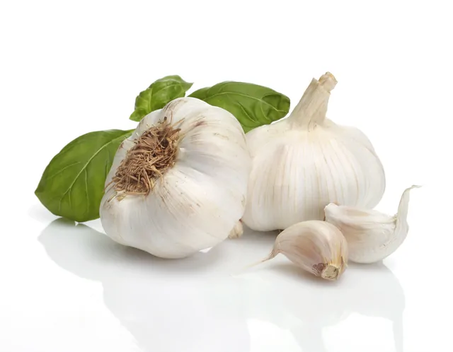 Knoblauch – Bild 9 von 16
