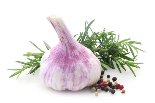 Knoblauch – Bild 10 von 16