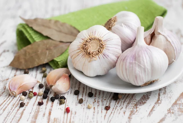 Knoblauch – Bild 11 von 16