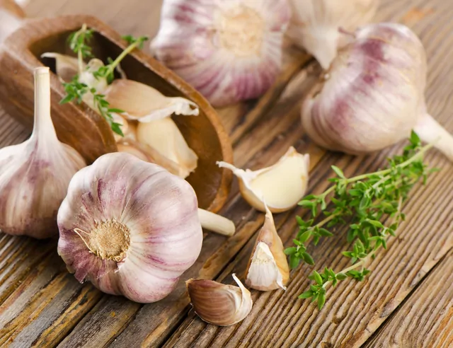Knoblauch – Bild 13 von 16