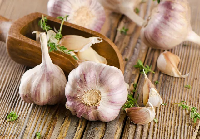 Knoblauch – Bild 14 von 16