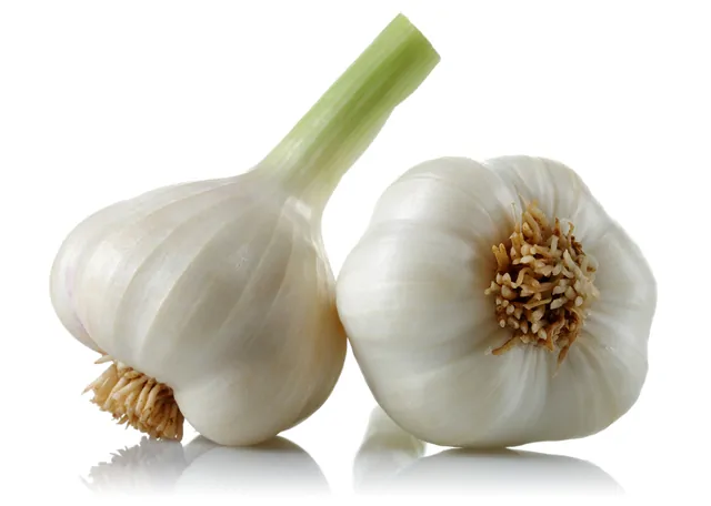 Knoblauch – Bild 15 von 16