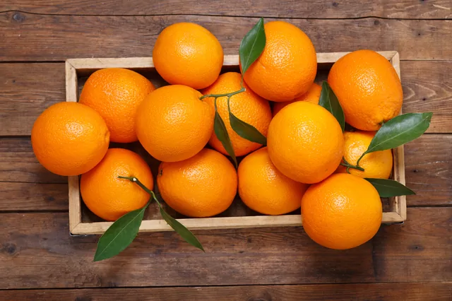 Orangen – Bild 3 von 15