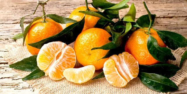 Orangen – Bild 4 von 15