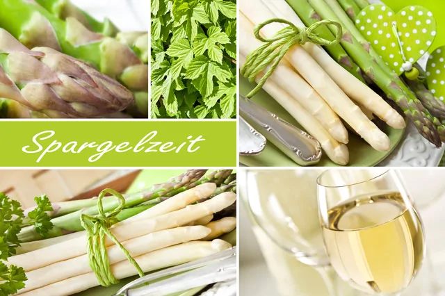 Spargel – Bild 1 von 16