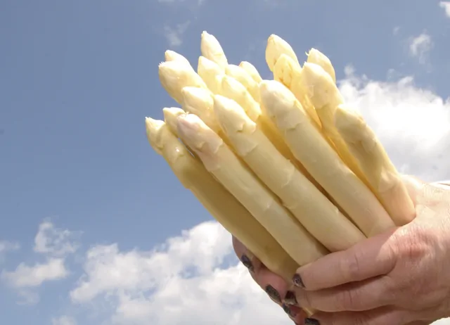 Spargel – Bild 3 von 16