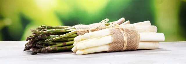 Spargel – Bild 16 von 16