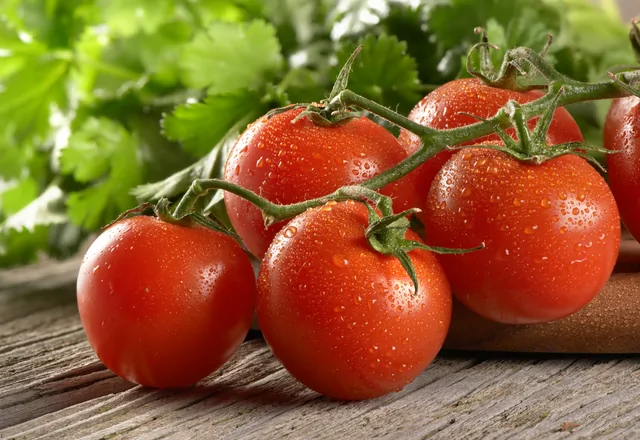 Tomaten – Bild 3 von 13