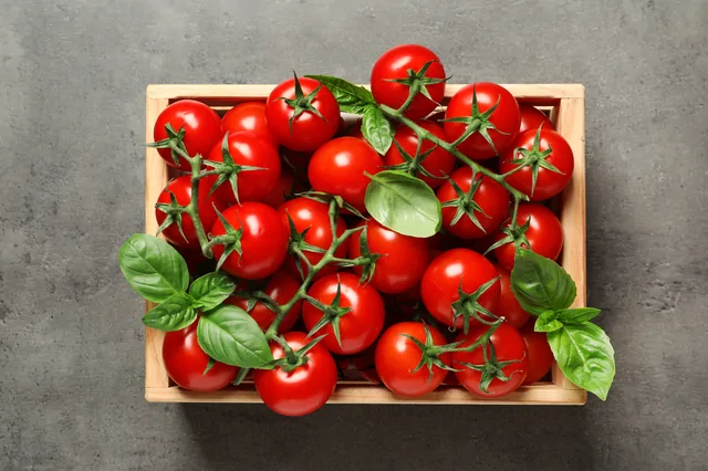 Tomaten – Bild 5 von 13