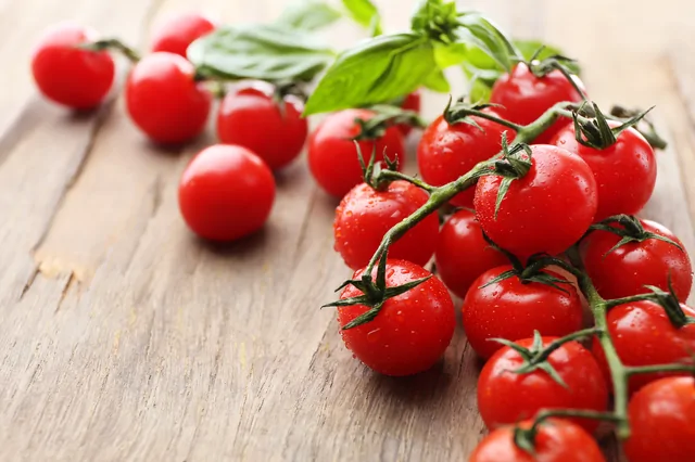 Tomaten – Bild 9 von 13